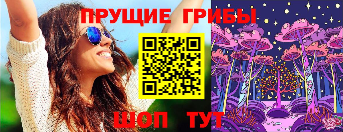 Псилоцибиновые грибы Psilocybine cubensis  Вход с VPN  Протвино 